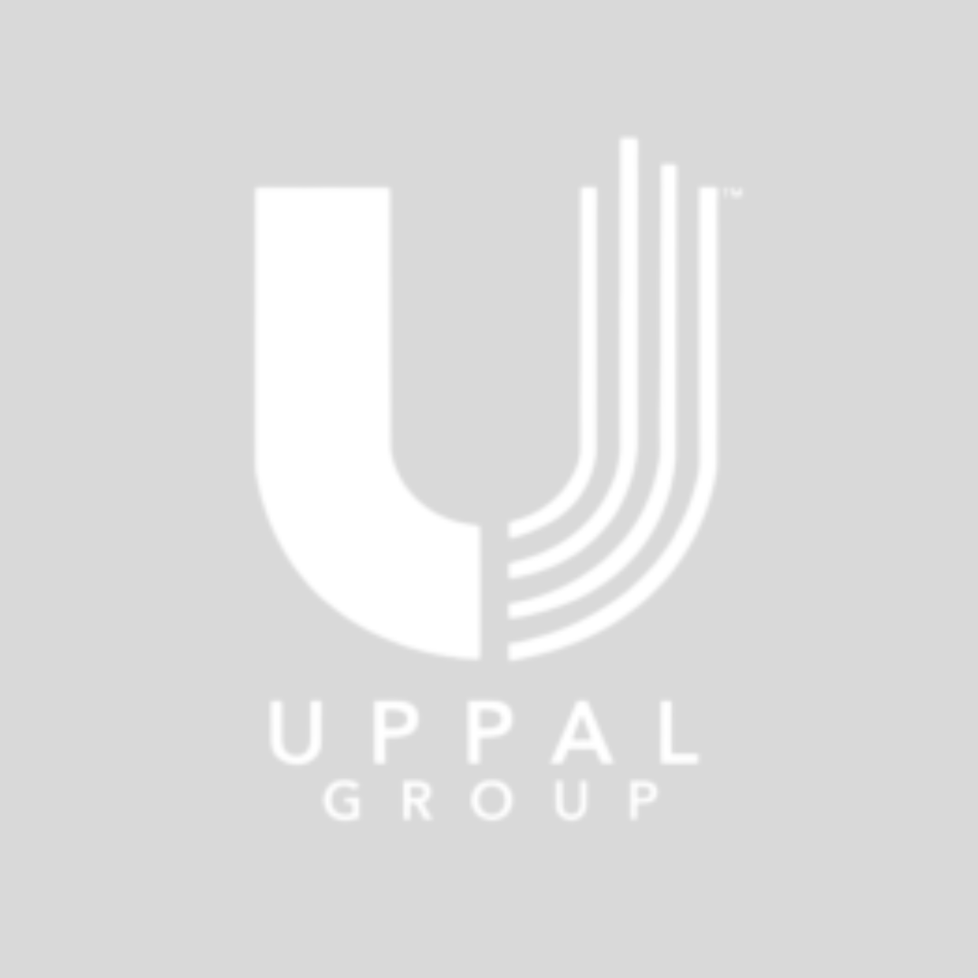 Untitled design (12)